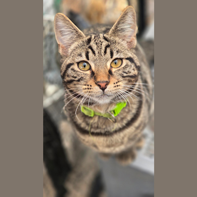 Photo of Spike