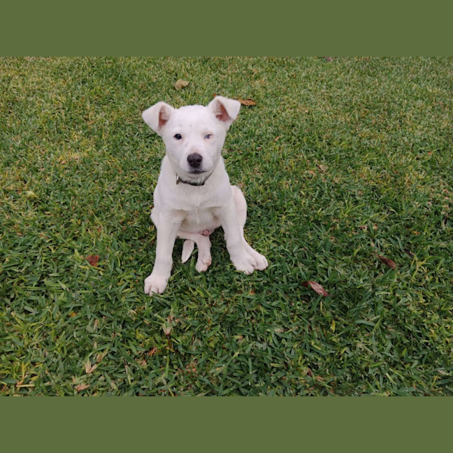 Photo of Polar