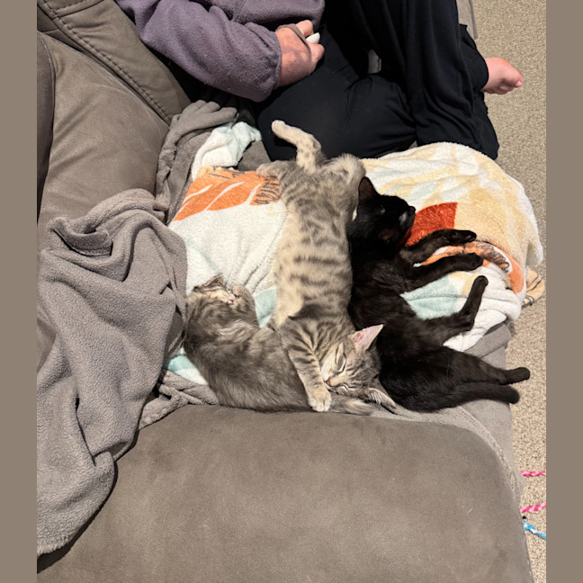 Photo of Freddie Aka Freaking Freddie