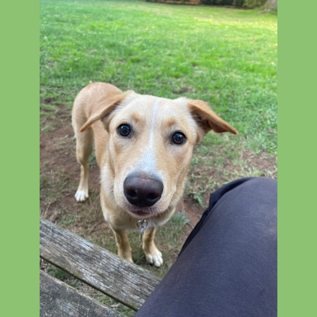 Photo of Daisy
