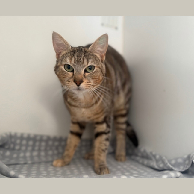 Photo of Meg