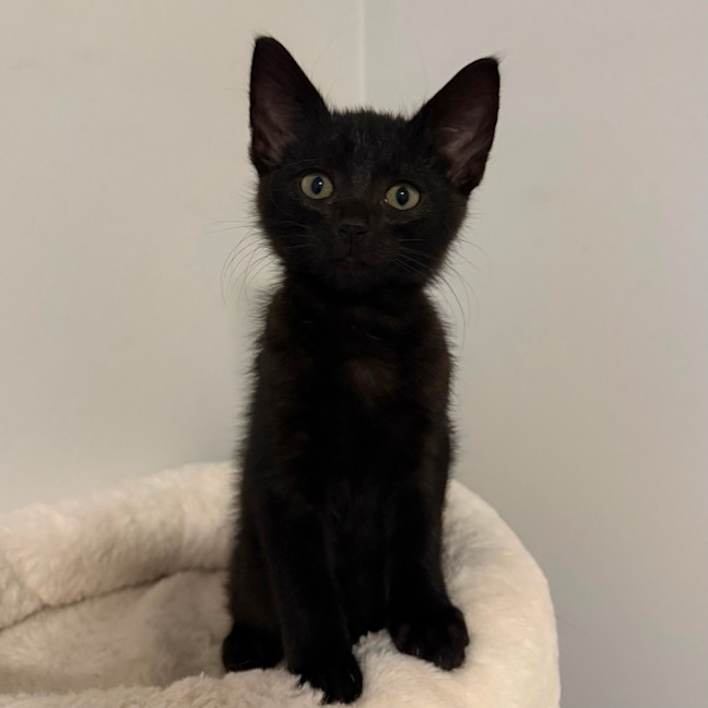 Photo of Elliott 🥥