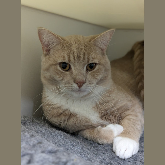 Photo of 🥞 Rupert 5644 🥞