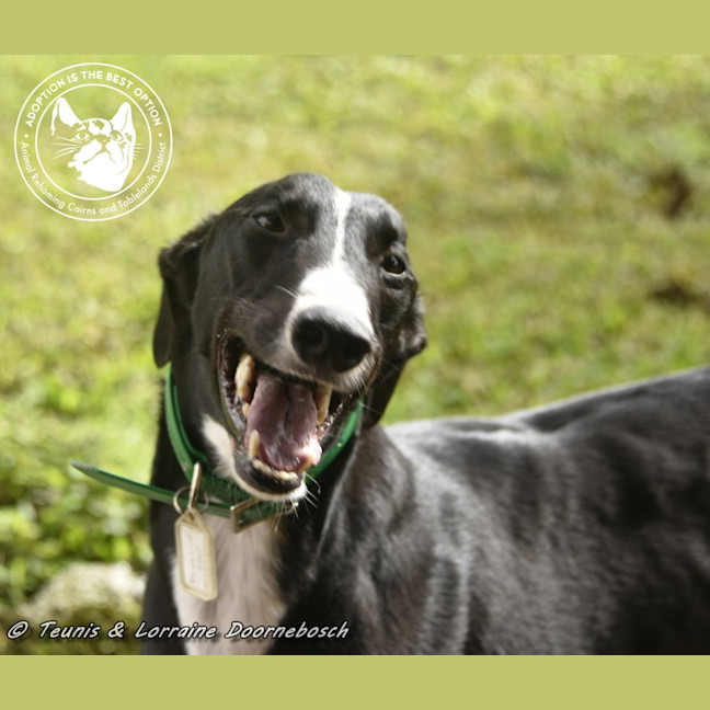 Photo of Jake (Forner's Reign)