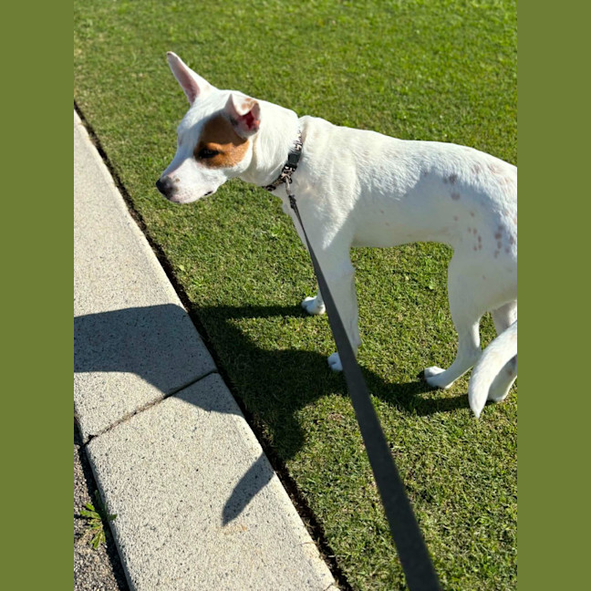 Photo of Molly
