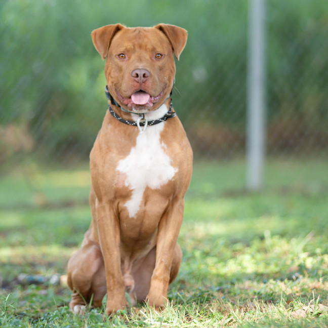 Photo of Tucker