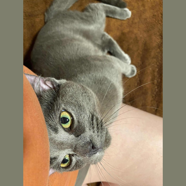 Photo of Casper