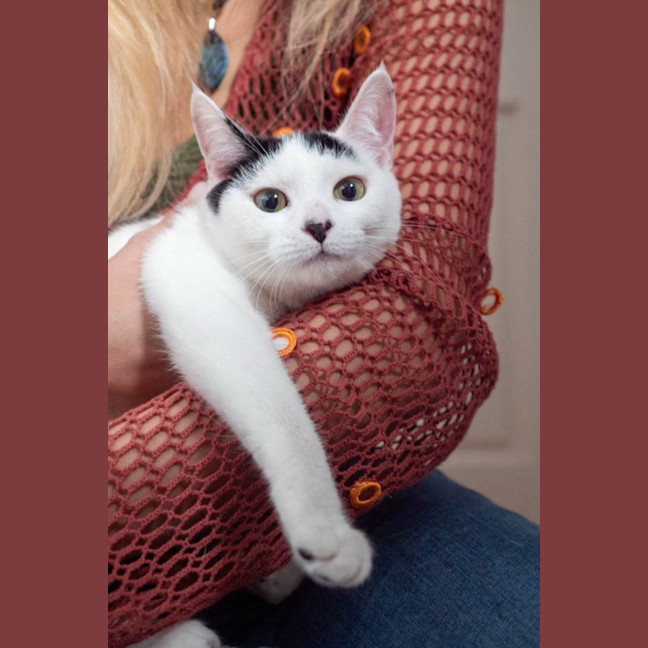 Photo of Penny & Essie 