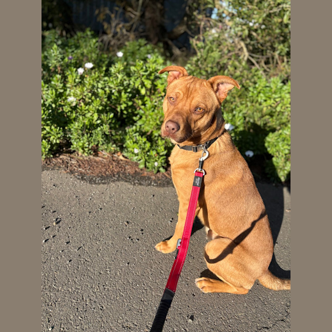 Photo of Zeus