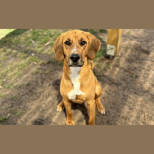 Photo of Kobi