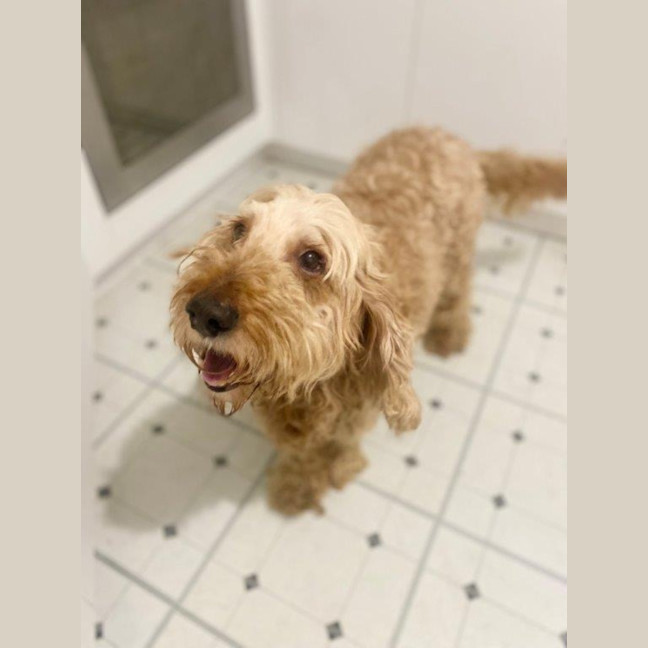 Photo of Shari Jablonski