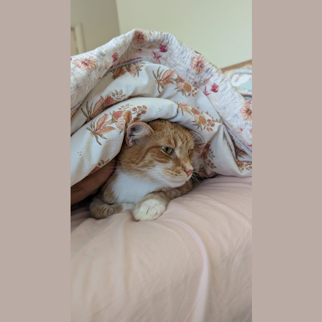 Photo of Goldie
