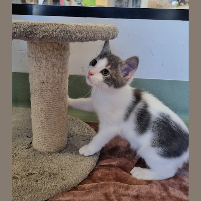 Photo of Mr Percival