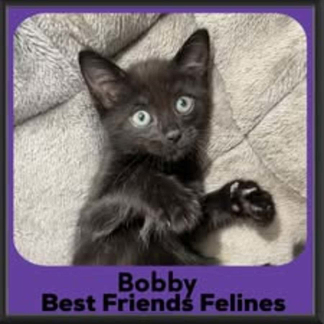 Photo of Bobby
