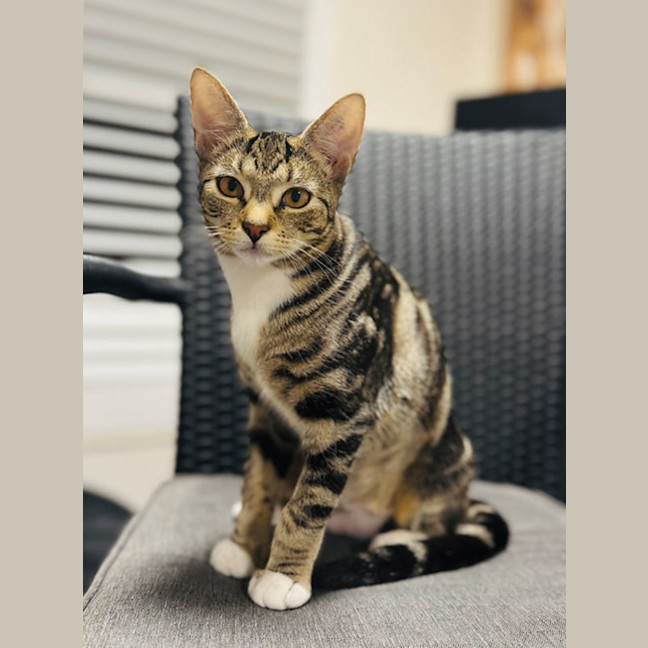 Photo of Wednesday 💕