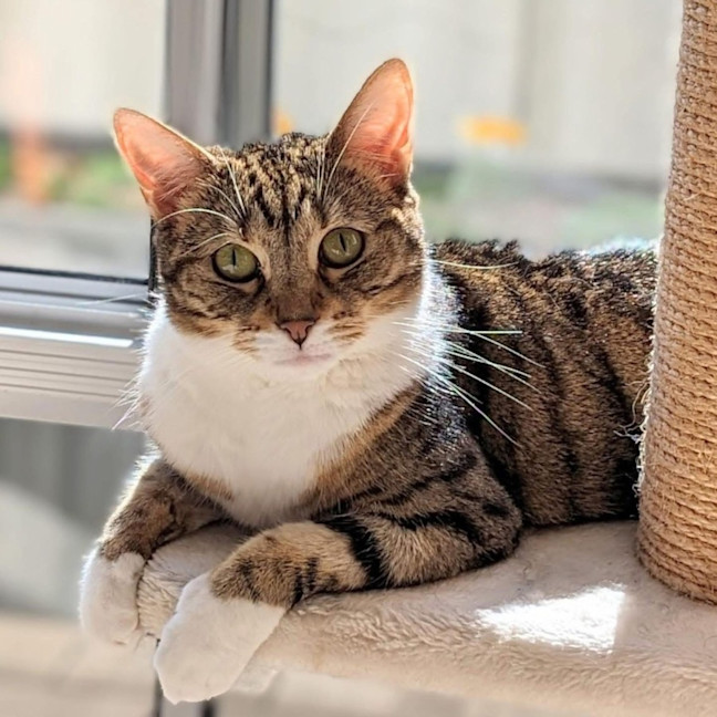 Photo of 6985   Summer