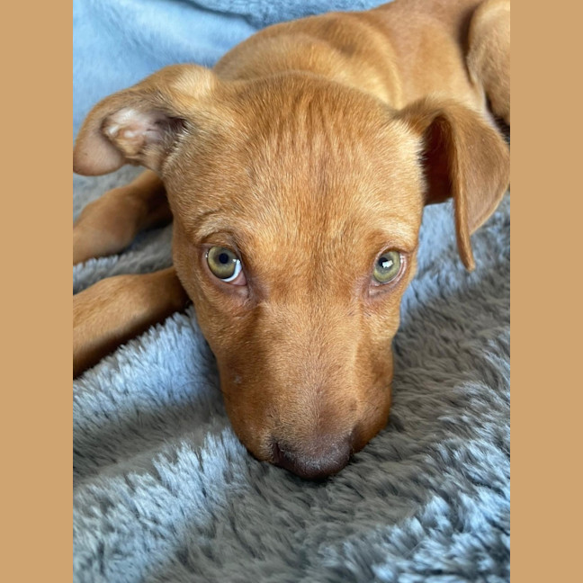 Photo of Murphy