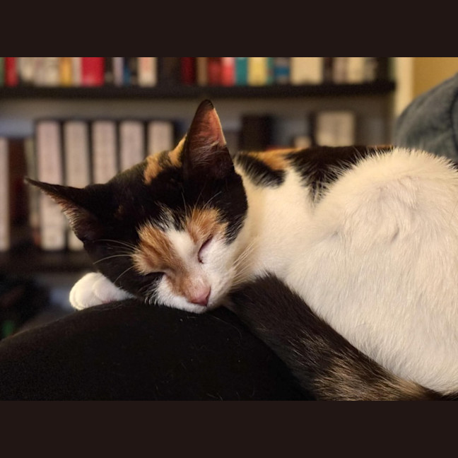 Photo of Rosie & Rudy 