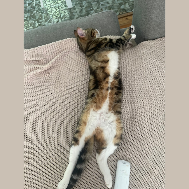 Photo of Little Miss & Yoyo