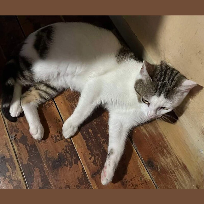Photo of Nudge