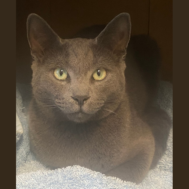 Photo of Stormy