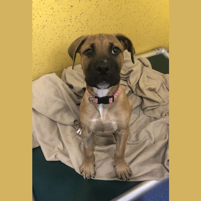Photo of Fiona