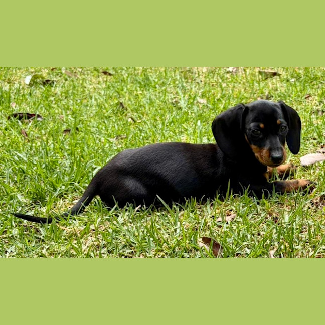 Photo of Sumi (Aka Katy)