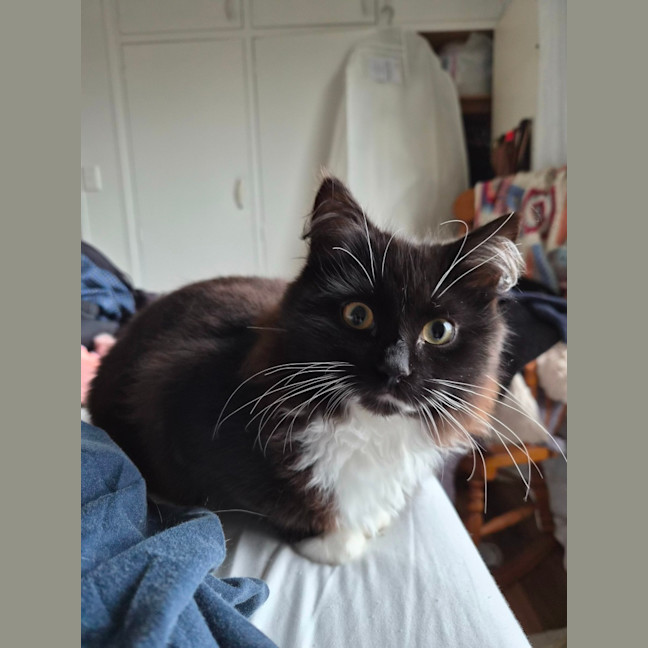 Photo of Marion
