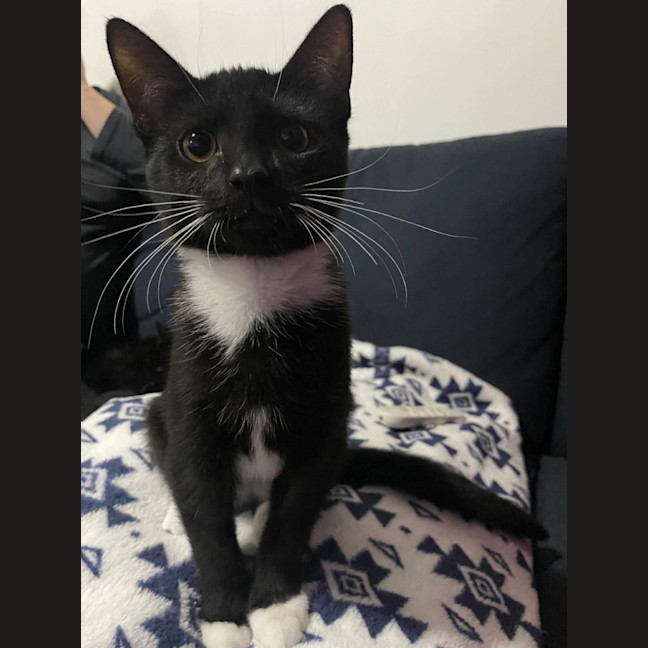 Photo of Evelyn
