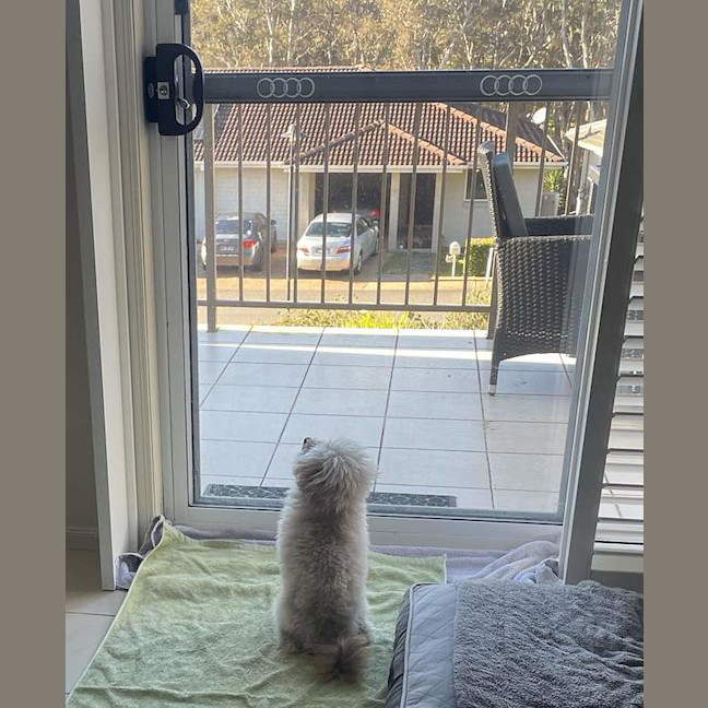 Photo of Sammy