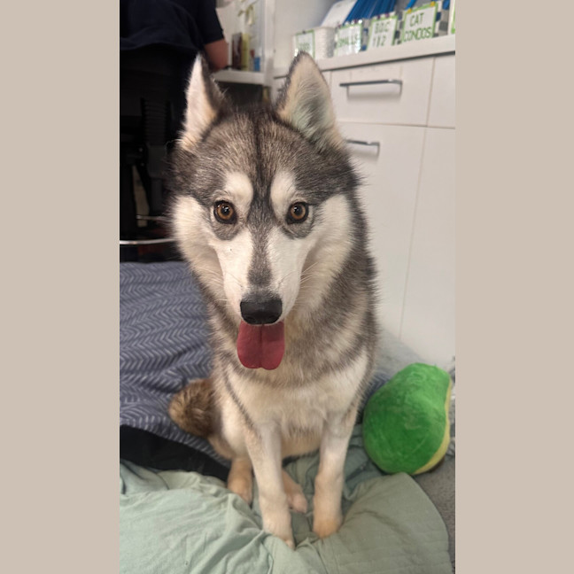 Photo of Miss Grayson