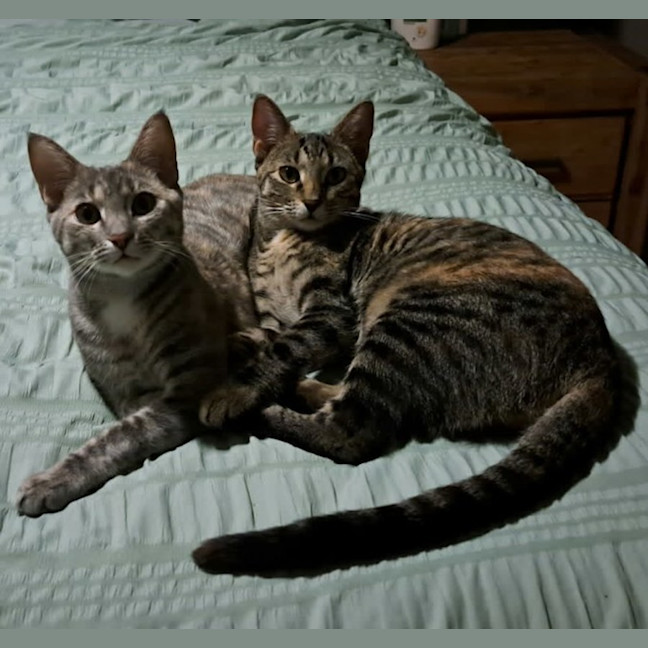 Photo of Maggie And Polly