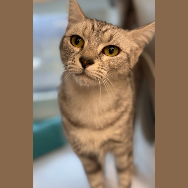 Photo of Whirl