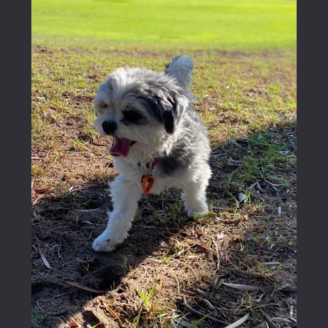 Photo of Belle And Hugo 