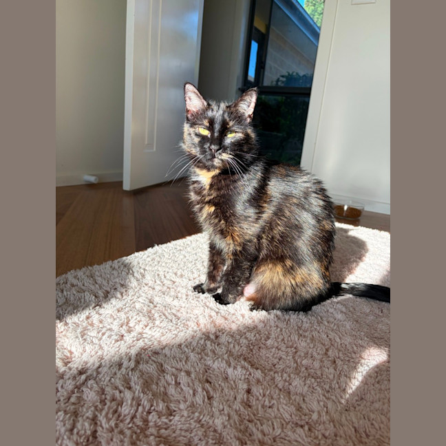 Photo of Lacey