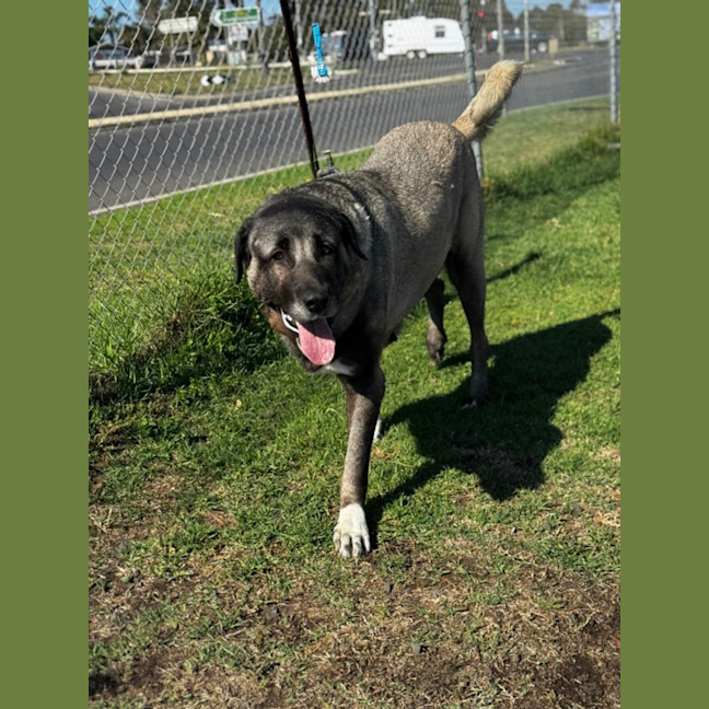 Photo of Lara (60413)