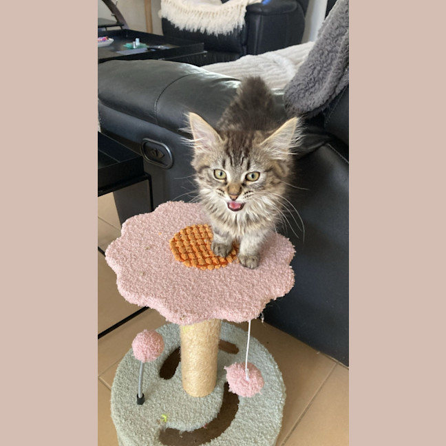 Photo of Princess