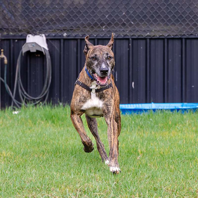 Photo of Milly