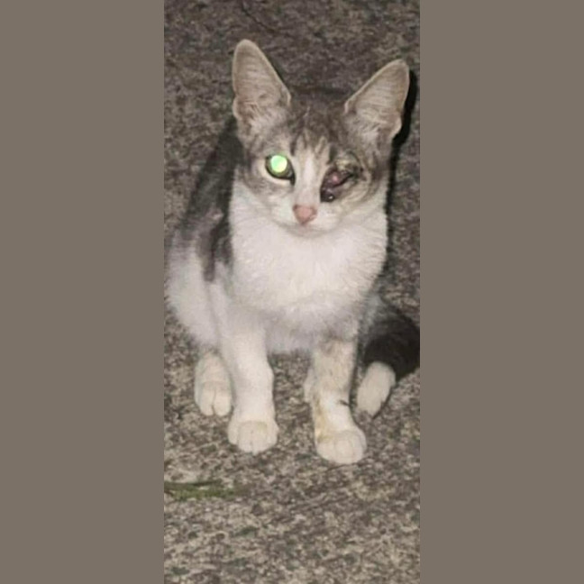 Photo of Tia