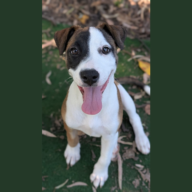 Photo of Kiah (Ex Ash)