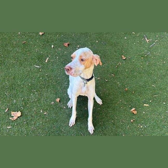 Photo of Luna