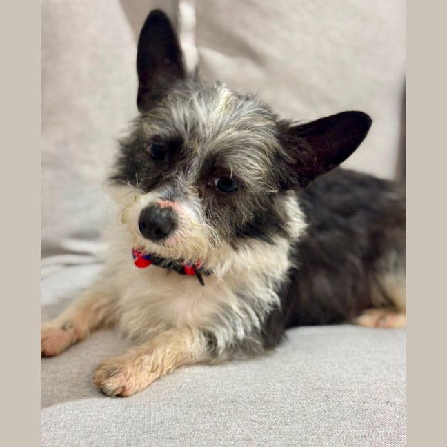 Photo of Bertie