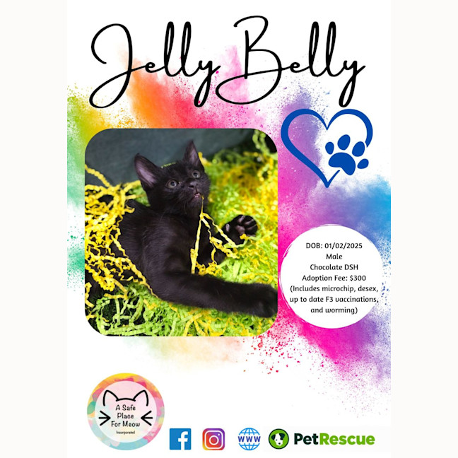 Photo of Jelly Belly