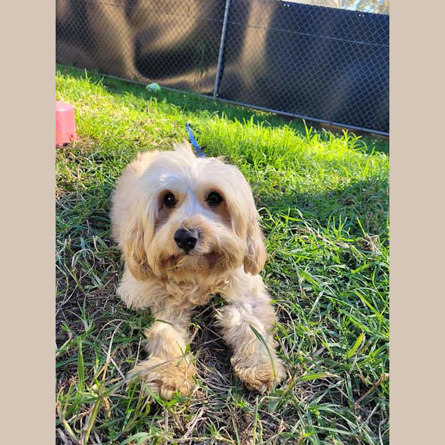 Photo of Wanda