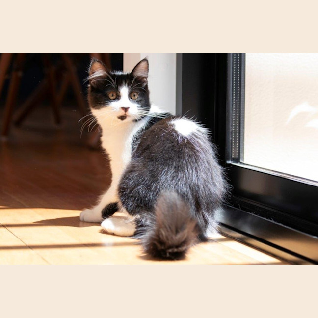 Photo of Gretel Moriarty