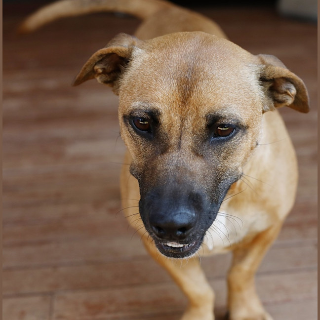 Photo of Winnie
