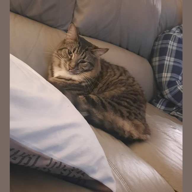 Photo of Tommy
