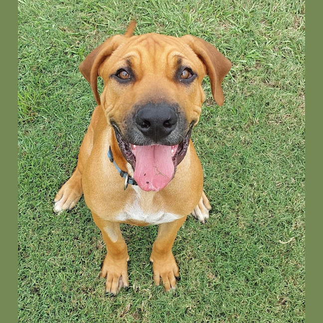 Photo of Tex