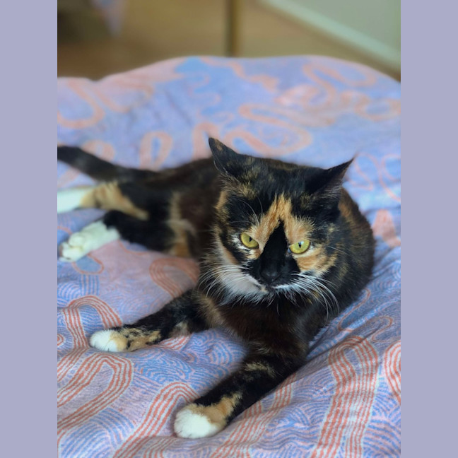 Photo of Viv (Vivienne)