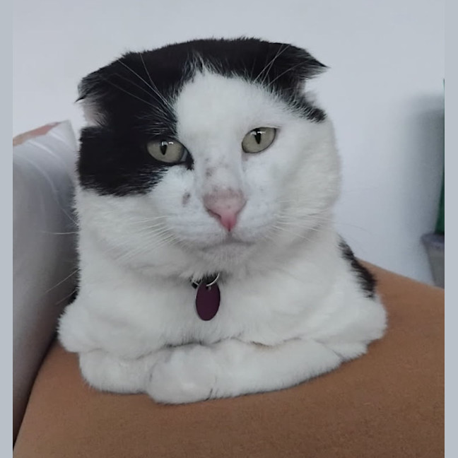Photo of Lenny
